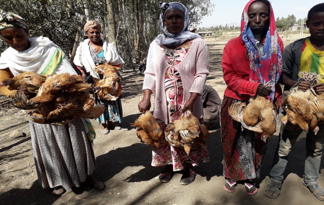 Protection and livelihoods